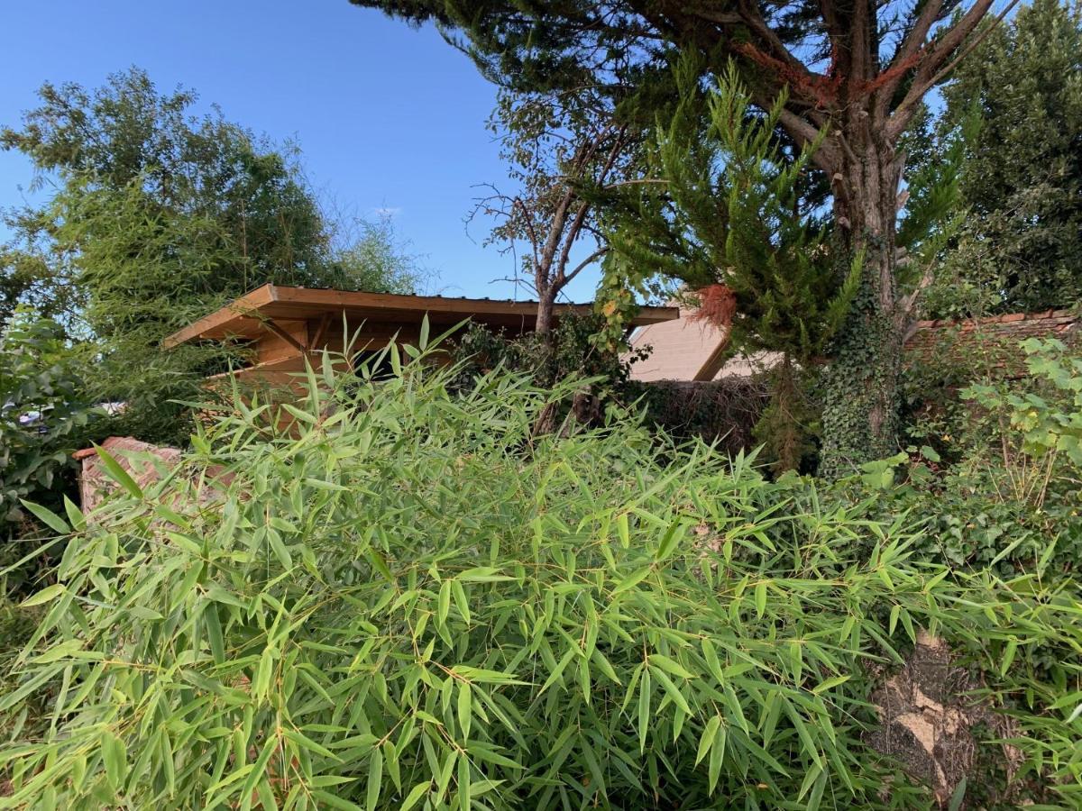 Cabane Bambou Huriel Exterior photo